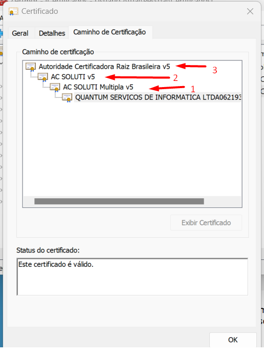 Raiz